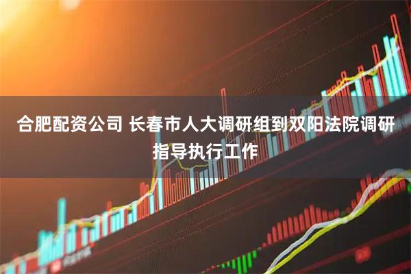 合肥配资公司 长春市人大调研组到双阳法院调研指导执行工作