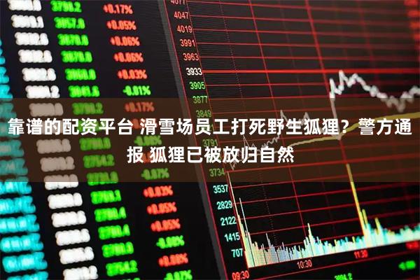 靠谱的配资平台 滑雪场员工打死野生狐狸?警方通报 狐狸已被放归自然