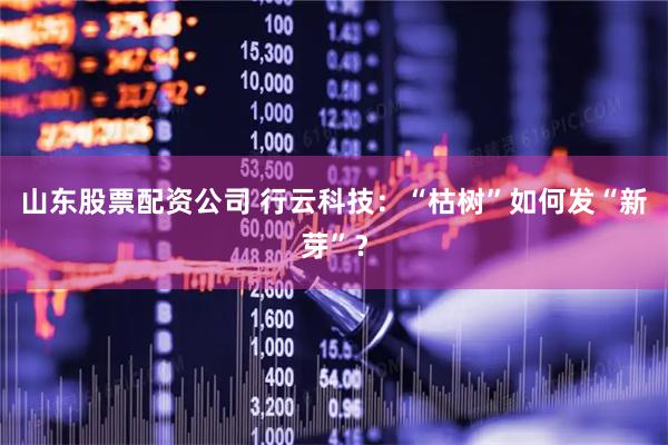 山东股票配资公司 行云科技：“枯树”如何发“新芽”？